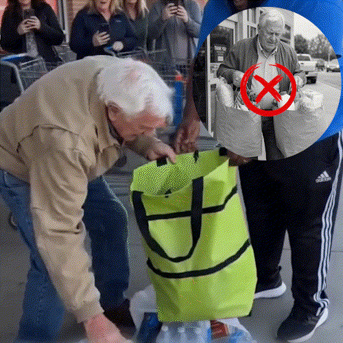 Folding Shopping Cart Bag
