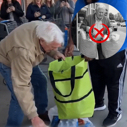 Folding Shopping Cart Bag