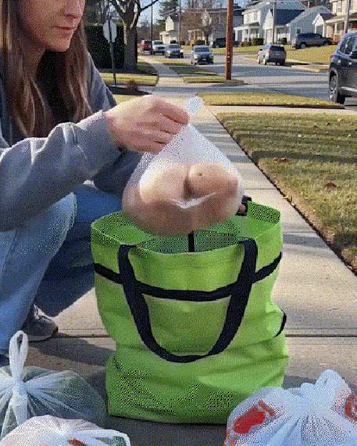 Folding Shopping Cart Bag