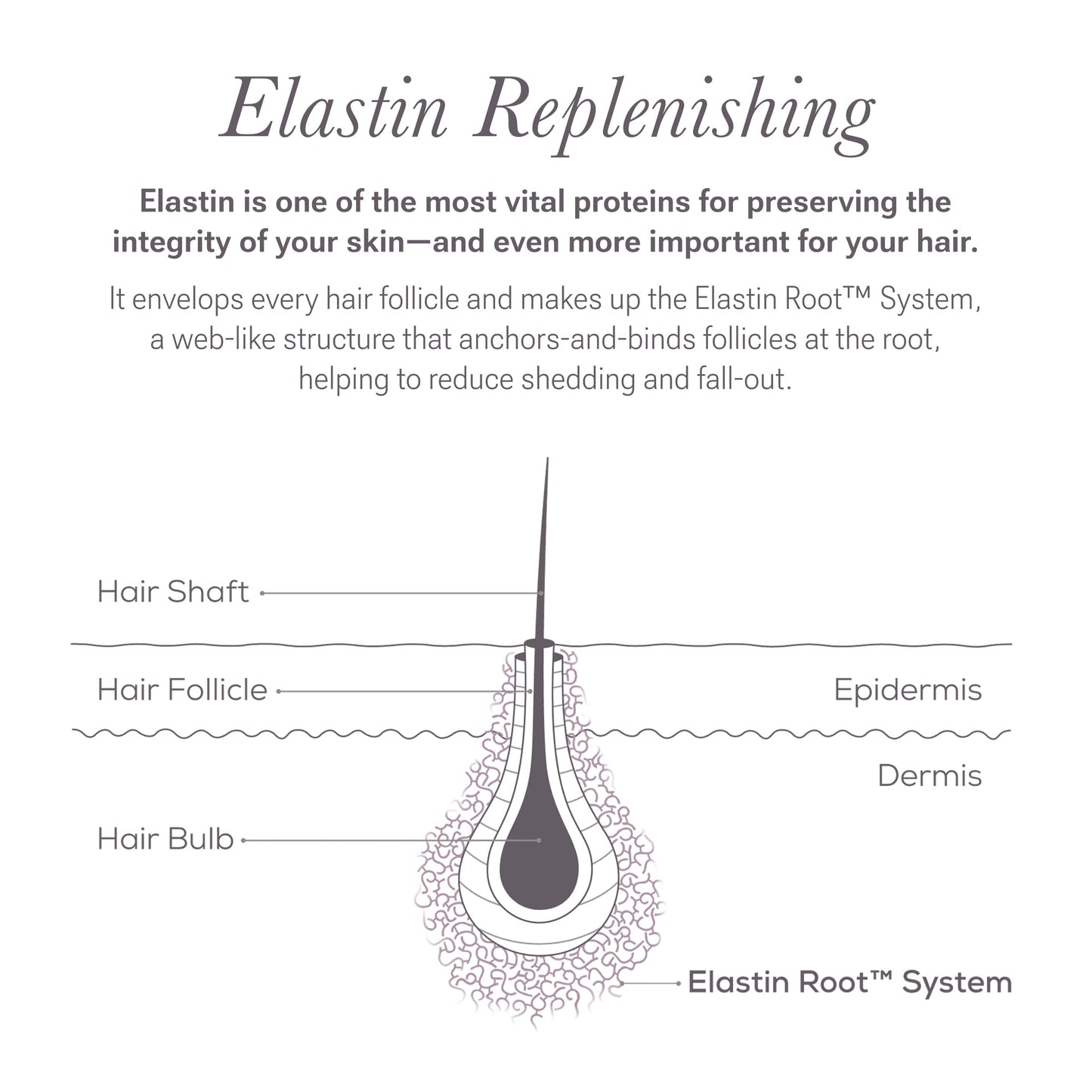 Solution Serum System